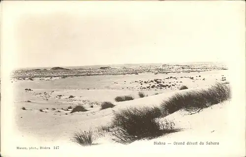 Biskra Grand desert du Sahara