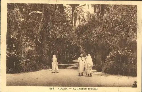 Alger Algerien Jardin Essai Palmen / Algier Algerien /