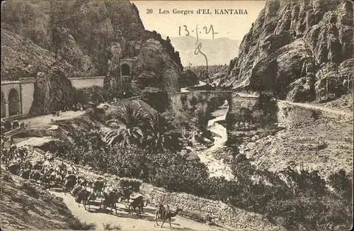 El Kantara Les Gorges d El Kantara Kamele