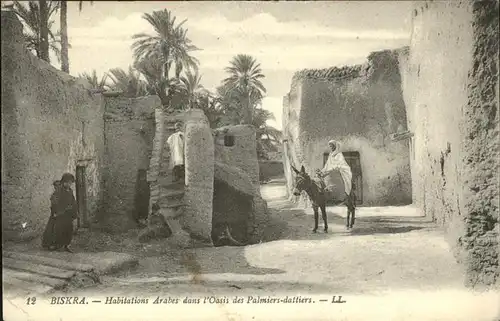 Biskra Habitations Arabes dans l Oasis des Palmiers dattiers Esel