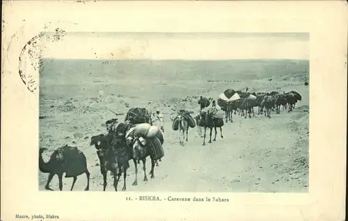 Biskra Caravane dans le Sahara Kamele