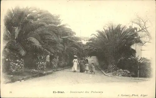 El Biar Alger Boulevard des Palmiers