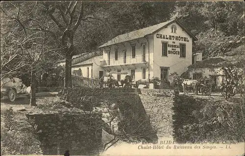 Blida Algerien Chalet Hotel du Ruisseau des Singes