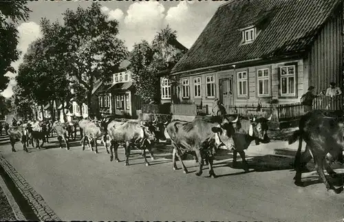 St Andreasberg Harz >Damenkapelle< in der Schuetzenstrasse / Sankt Andreasberg /Goslar LKR