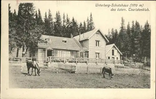 Unterberg Niederoesterreich Schutzhaus Pferde