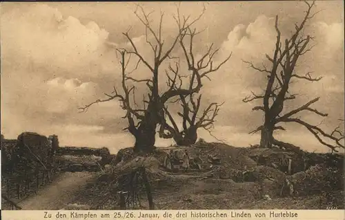 Craonne Aisne Kaempfe auf den Craonner Hoehen Historische Linden von Hurtebise Feldpost / Craonne /Arrond. de Laon