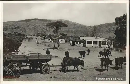 Transvaal Suedafrika Ferienheim Bergheim Ochsenkarren