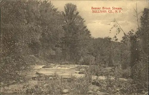 Sullivan County New York Beaver Brook Stream