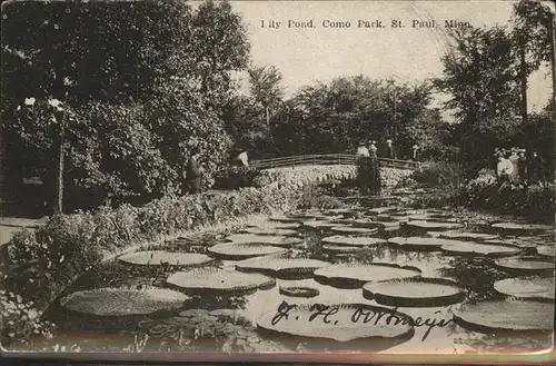 St Paul Minnesota Lily Pond Como Park