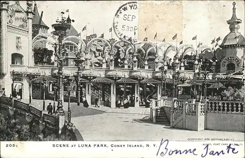 Coney Island New York Scene Luna Park