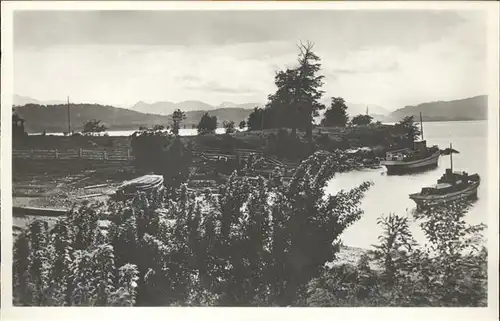 Puerto Tigre Nahuel Huapi Vista panoramica orilla del lago barco