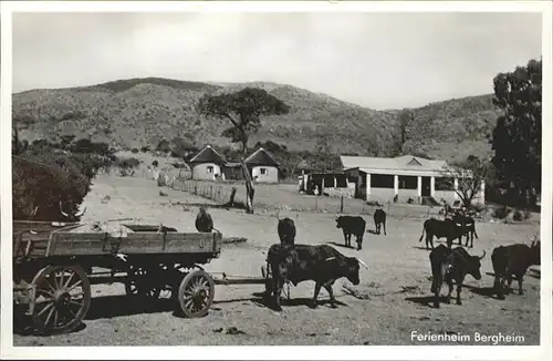 Transvaal Suedafrika Ferienheim Bergheim Ochsenkarren