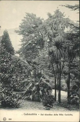 Cadenabbia Lago di Como Nel Giardino della Villa Carlotta Kat. Griante