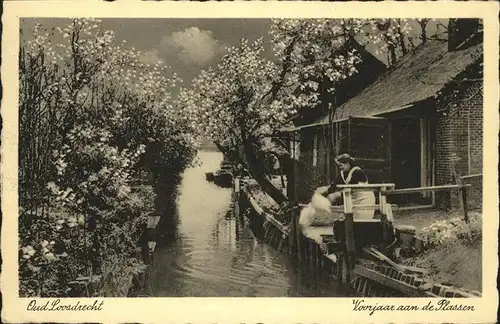 Oud Loosdrecht Bad "Het Witte Huis" Nieuw Loosdrecht Voorjaar aan de Plassen Baumbluete