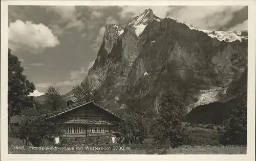 Grindelwald Grindelwaldnerhaus mit Wetterhorn Kat. Grindelwald