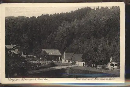 Hammer Zwickau Gasthasu zru Hammersmuehle Kat. Zwickau