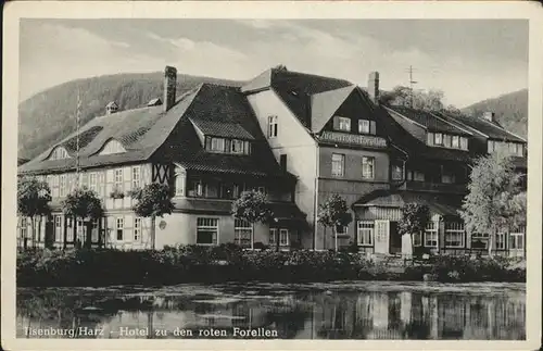 Ilsenburg Harz Hotel zu den roten Forellen Teich / Ilsenburg Harz /Harz LKR