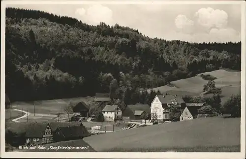 Gras Ellenbach Hotel Siegfriedsbrunnen Kat. Grasellenbach