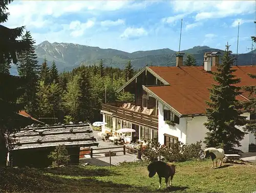 Reit Winkl Alpengasthof Hindenburghuette Pony / Reit im Winkl /Traunstein LKR