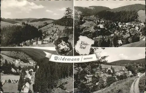 Wildemann Klein Tirol Wappen / Wildemann Harz /Goslar LKR