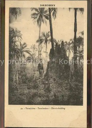 Dahomey Termitenhaus Kat. Afrika