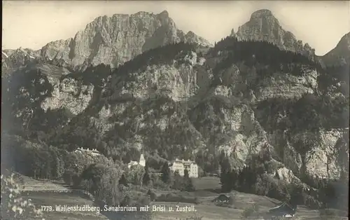 Walenstadtberg Sanatorium mit Brisi und Zustall / Walenstadtberg /Bz. Sarganserland