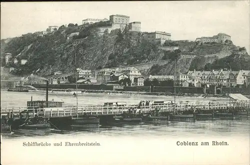 Koblenz Rhein Schiffbruecke und Ehrenbreitstein / Koblenz /Koblenz Stadtkreis
