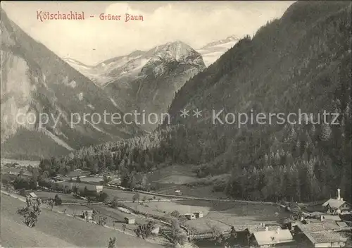 Koetschachtal Gruener Baum Panorama Kat. 