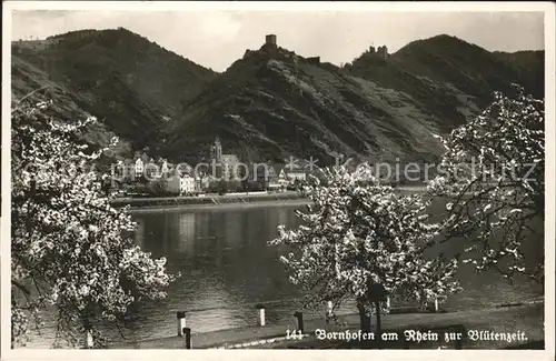 Kamp-Bornhofen  / Kamp-Bornhofen /Rhein-Lahn-Kreis LKR