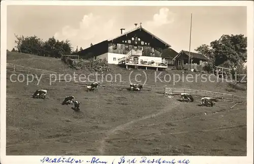 Neubichler Alm Hoegl Bad Reichenhall / Piding /Berchtesgadener Land LKR