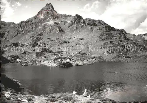 Radstaedter Tauern Krummschnabel Badesee Seekarspitze / Salzburg /Salzburg und Umgebung