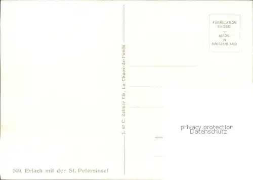 Erlach BE mit St. Petersinsel Kuenstlerkarte / Erlach Cerlier /Bz. Erlach