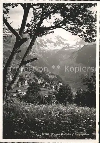 Wengen BE Breithorn und Tschingelhorn Kat. Wengen