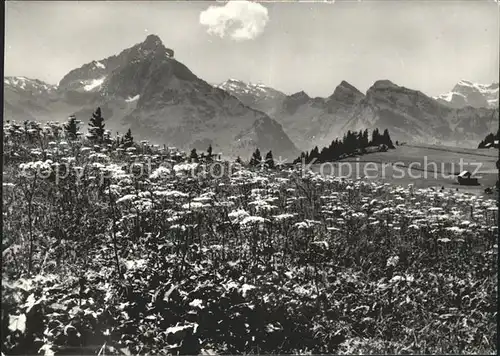 Amden SG Bergwiese Alpenpanorama Kat. Amden