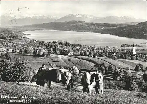 Hallwilersee Blick vom Eichberg