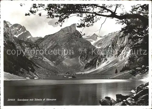 Saentis AR seealpsee Altmann Kat. Saentis