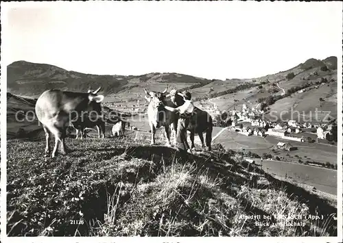 Urnaesch AR Bauer mit Kuehen auf der Alm Kat. Urnaesch