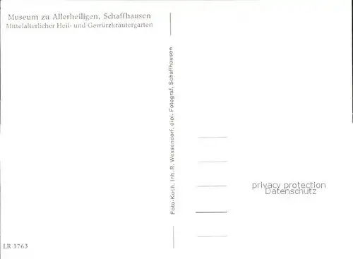 Schaffhausen SH Museum zu Allerheiligen Mittelalterlicher Heilkraeuter Gewuerzkraeutergarten Kat. Schaffhausen