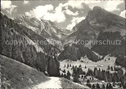 Obertoggenburg aelpli mit Saentis Kat. Wildhaus