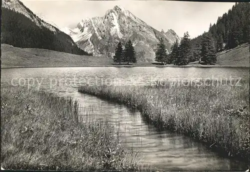 Obertoggenburg Seepanorama Kat. Wildhaus