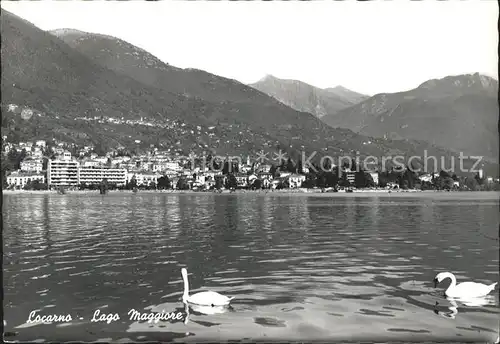 Locarno Lago Maggiore / Locarno /Bz. Locarno