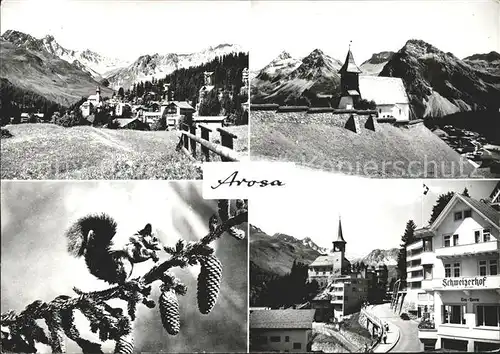 Arosa GR Dorfblick Kirchlein Schweizerhof Eichhoernchen Kat. Arosa