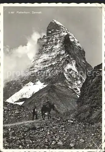 Matterhorn VS Mann mit Pferd Zermatt Kat. Matterhorn