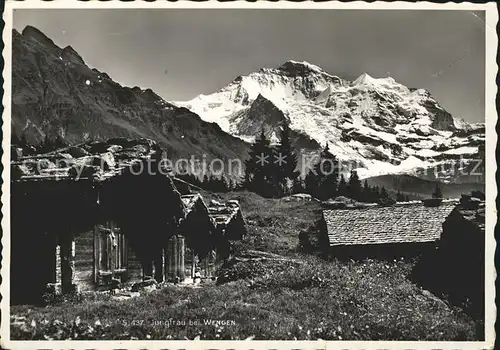 Jungfrau BE Wengen Kat. Jungfrau