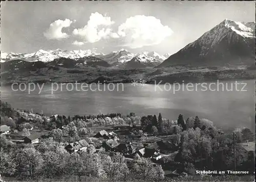 Schoenoertli Thunersee Bluemlisalp Niesen 