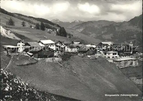 Wergenstein GR am Schamserberg Alpenpanorama Kat. Wergenstein