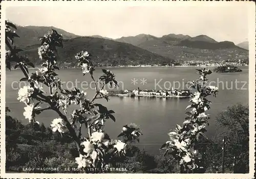 Lago Maggiore Isole viste da Stresa Kat. Italien