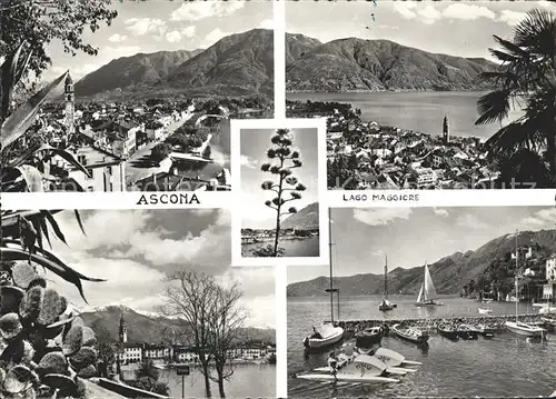 Ascona TI Panorama Lago Maggiore Hafen / Ascona /Bz. Locarno