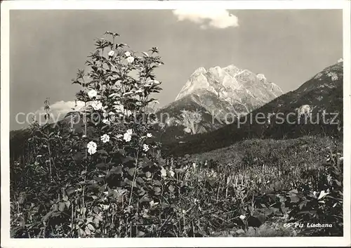 Schuls GR Piz Lischana Kat. Scuol