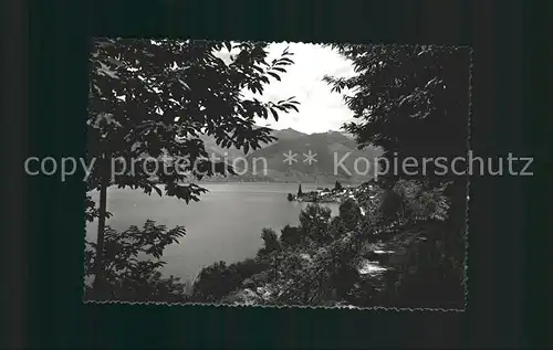 Gambarogno TI Panorama Lago Maggiore Kat. Gambarogno